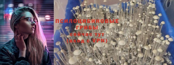 mdpv Аркадак