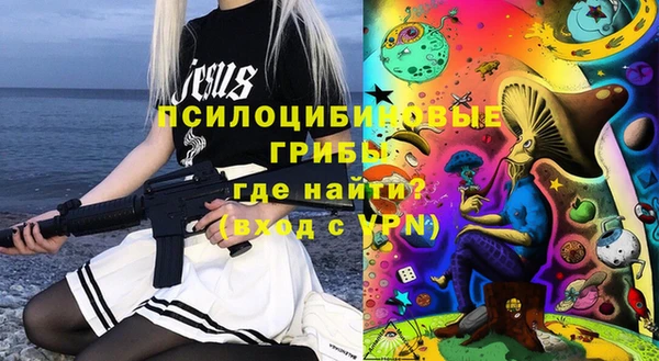 прущие грибы Армянск