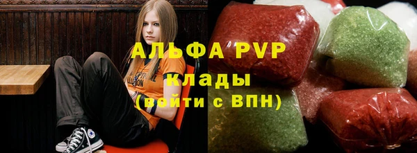 прущие грибы Армянск