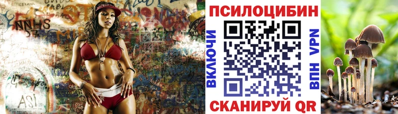shop клад  MEGA маркетплейс  Льгов  Псилоцибиновые грибы Psilocybine cubensis 